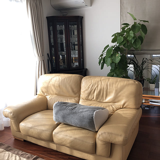 hiromiさんの部屋