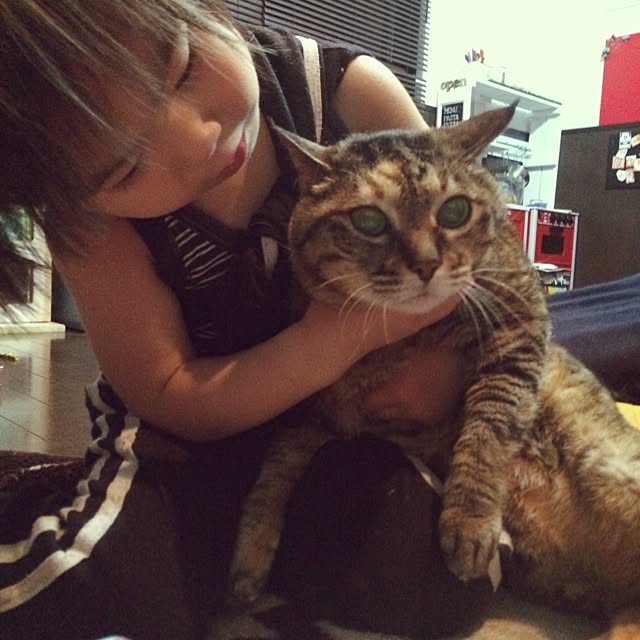 maiさんの実例写真