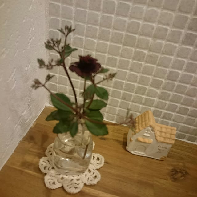 whitebirdさんの実例写真