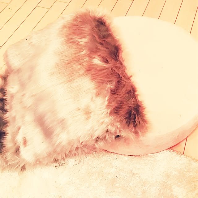 rayjyuさんの実例写真