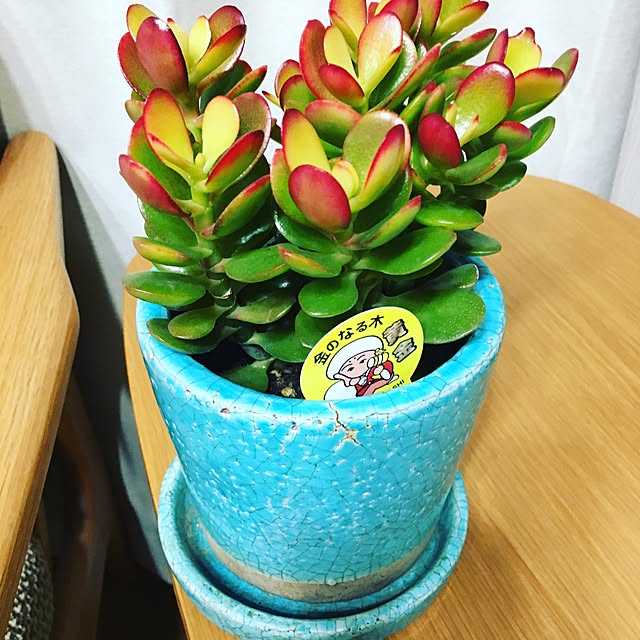 bayblueさんの実例写真
