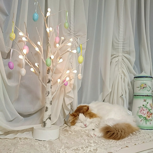 chururiさんの実例写真