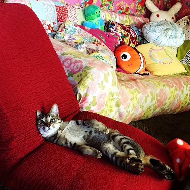 chobibiさんの実例写真