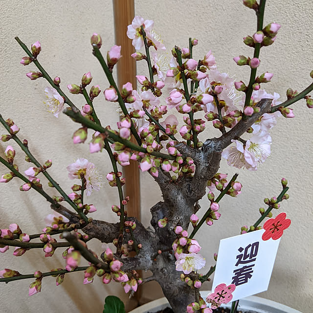 nabe4さんの実例写真