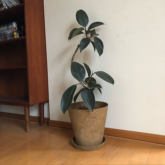 kikiraraさんの実例写真