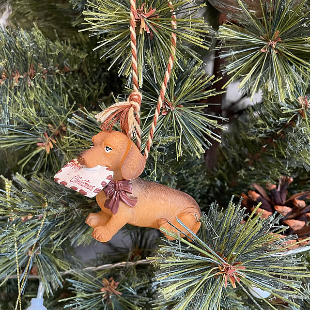 riri1989さんの部屋