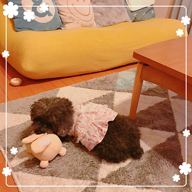 makkoさんの実例写真