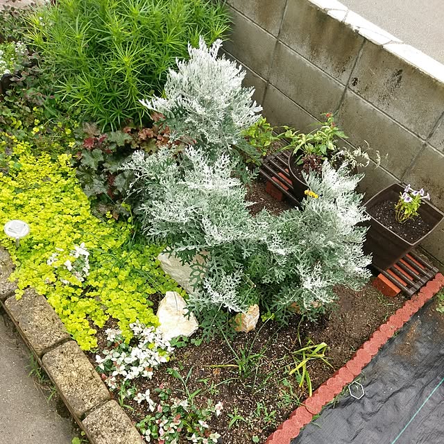 minmiさんの実例写真