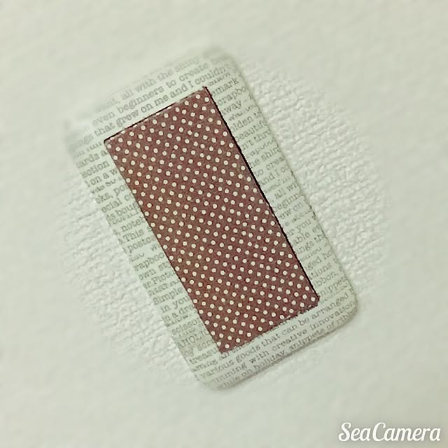 miwaさんの実例写真