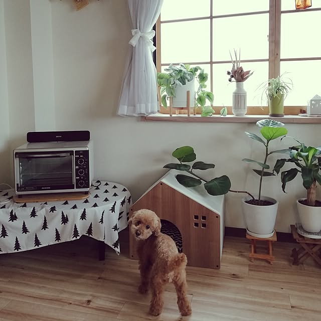 santamamaさんの部屋