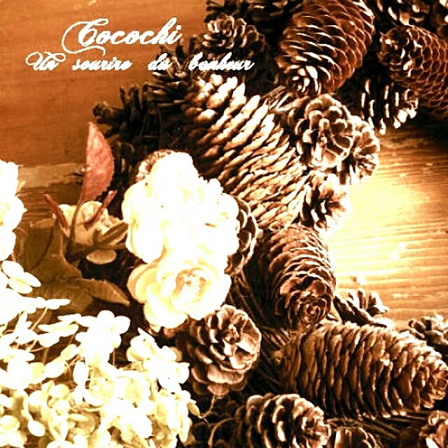 cocochiさんの実例写真