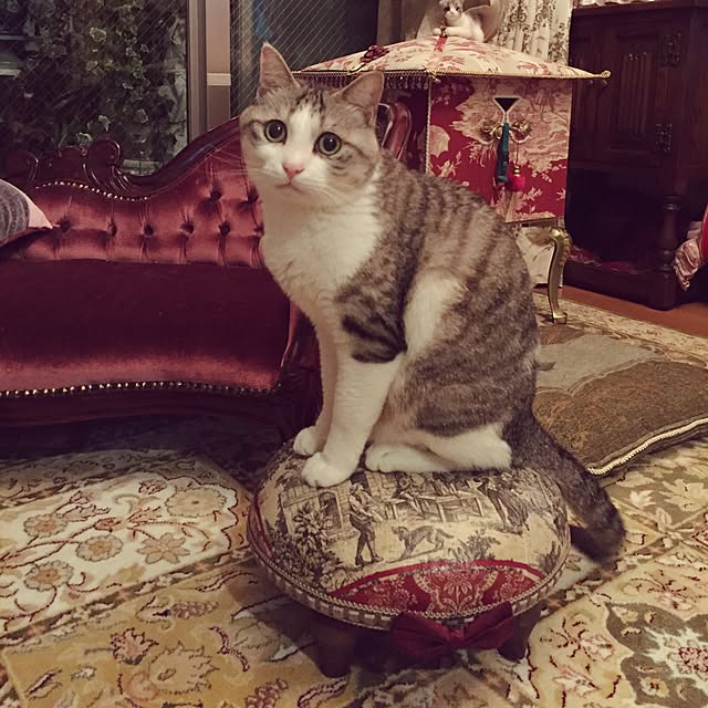 emmyyさんの実例写真