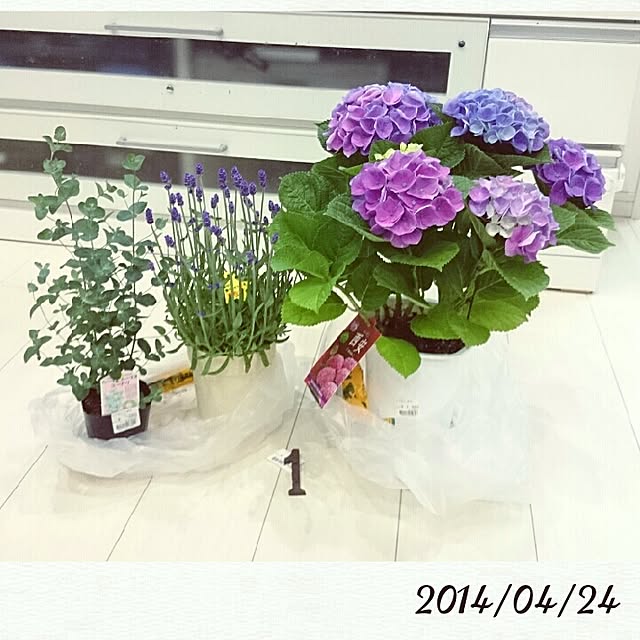 kira127さんの実例写真