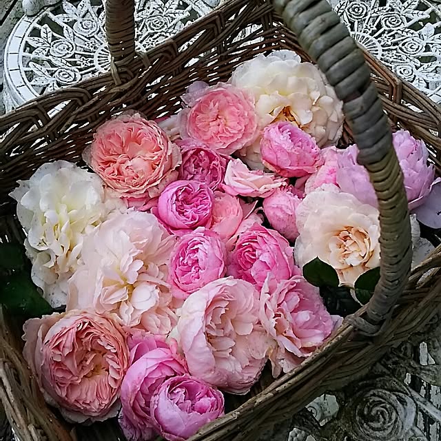 s.mamaさんの実例写真
