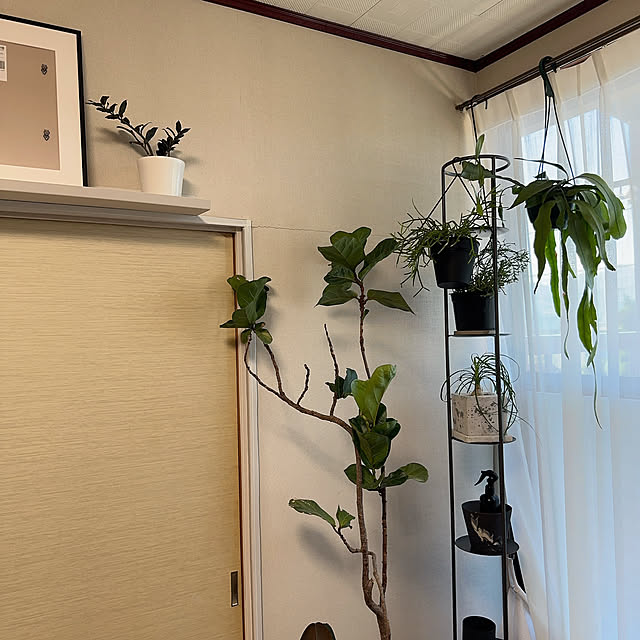 Kurehaさんの実例写真