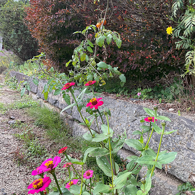 natsumiさんの部屋