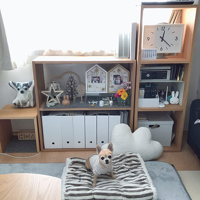 Emiさんの実例写真