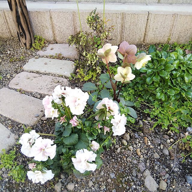 Mofu2mamaさんの実例写真