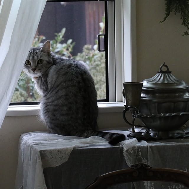 実例写真
