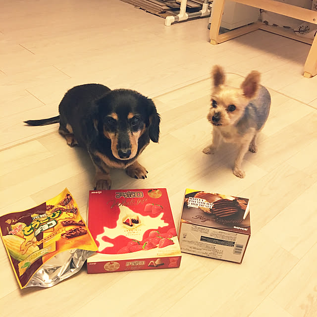 ohanaさんの実例写真