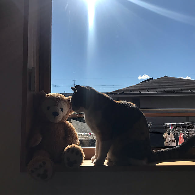 rachelさんの実例写真