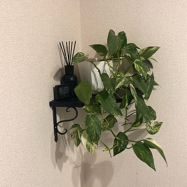Asukaさんの実例写真