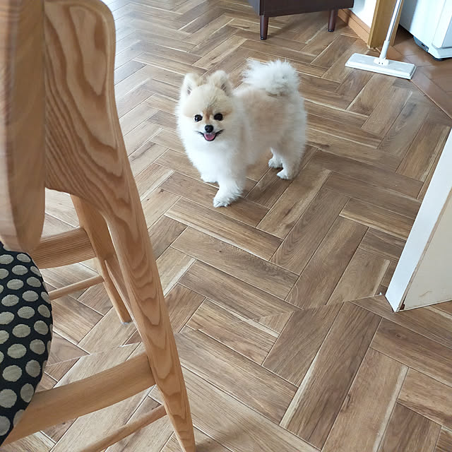 poroさんの実例写真