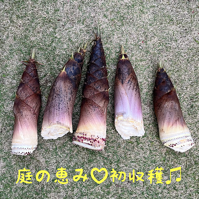 Hannahさんの実例写真