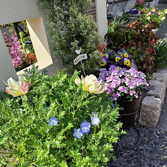 mutsuさんの部屋