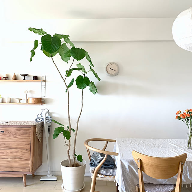 ku_ra_shi_さんの部屋