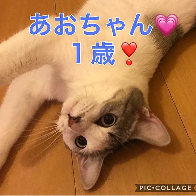 mi-mi-373さんの実例写真