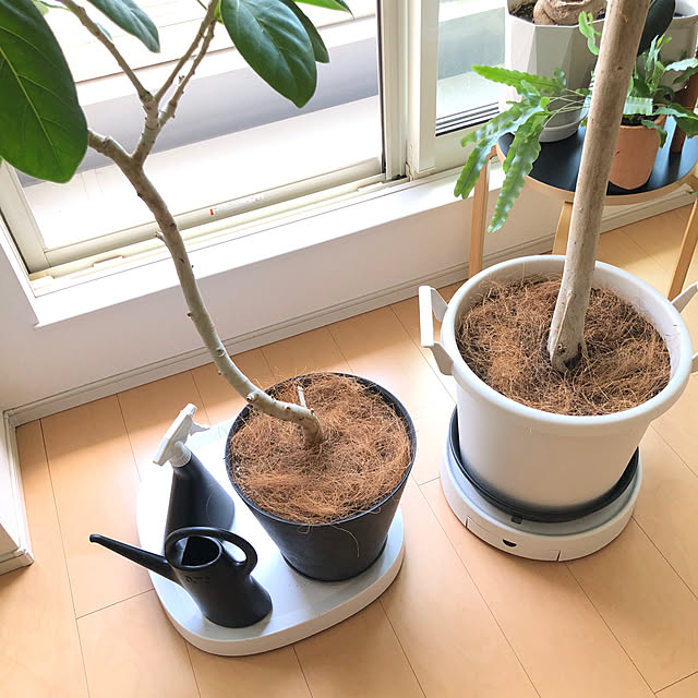 eriさんの部屋