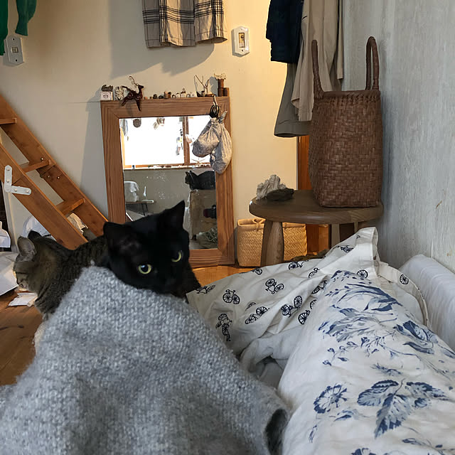 neko-2.2.2runmuさんの実例写真