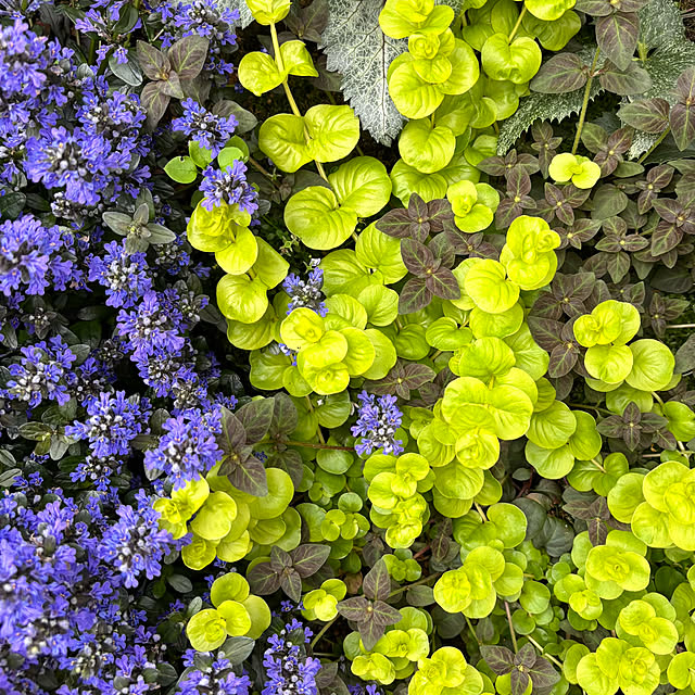 kyoko1124koさんの部屋