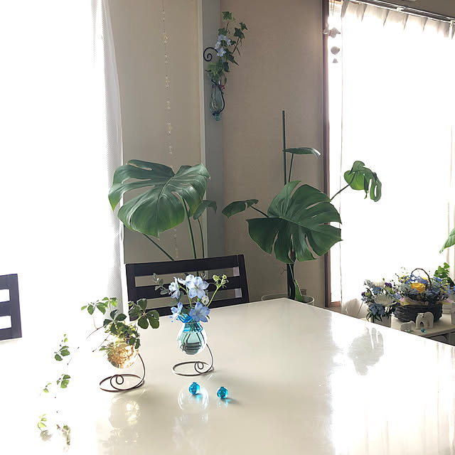 Mitsuさんの実例写真