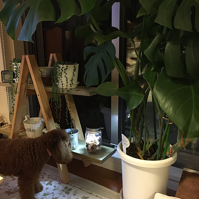 ISM.mumさんの実例写真