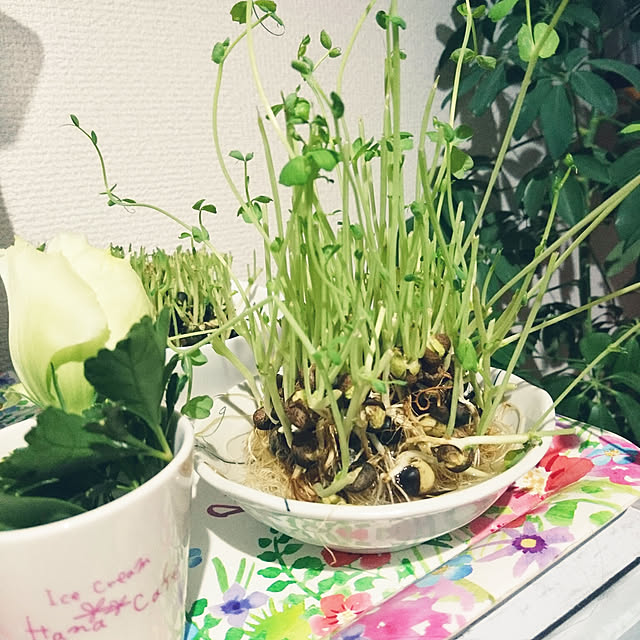 makaronさんの実例写真