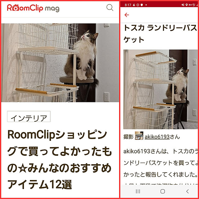 実例写真