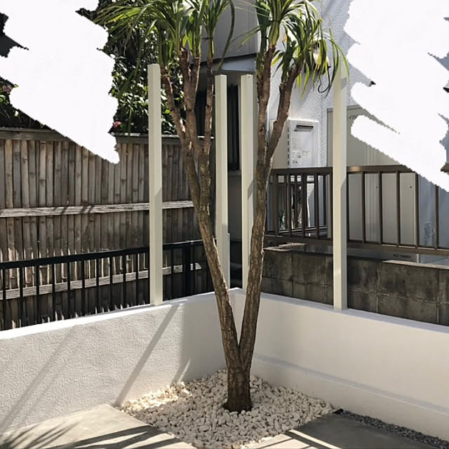 Sakuさんの実例写真