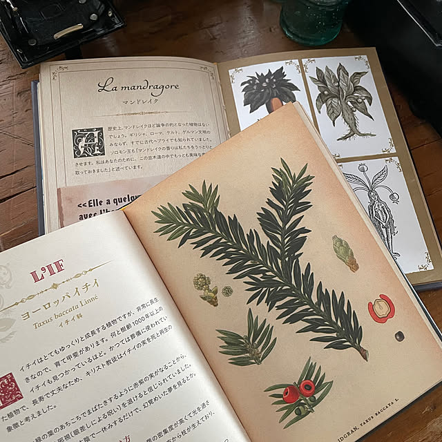 mamisazさんの部屋