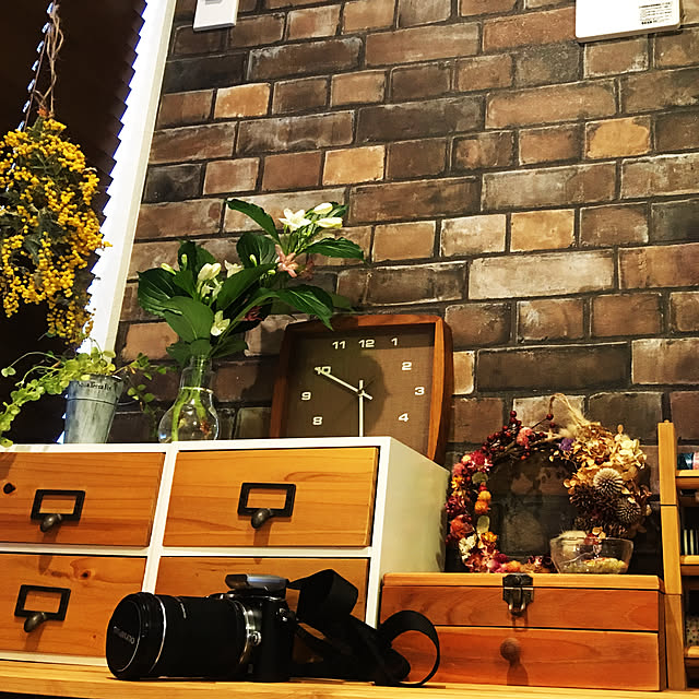 Yoshikoさんの実例写真
