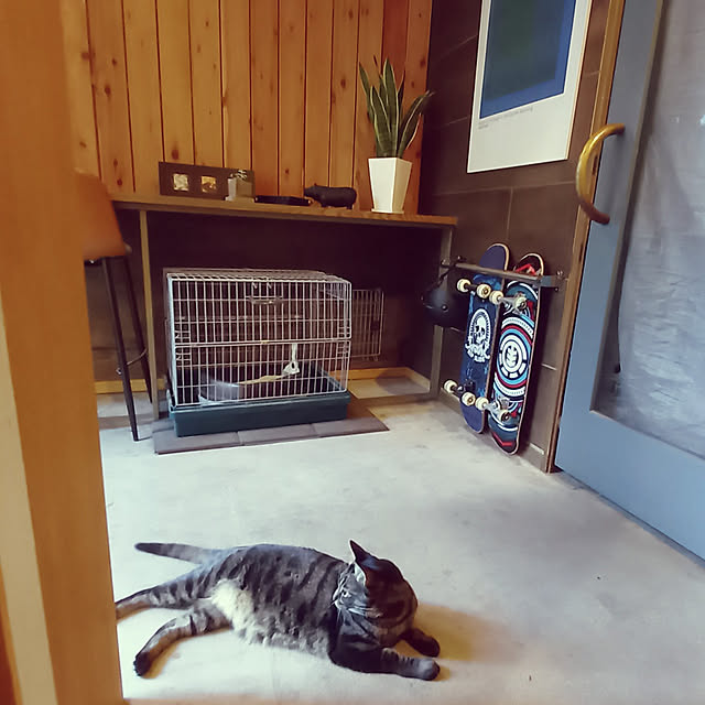 momo.smzさんの実例写真