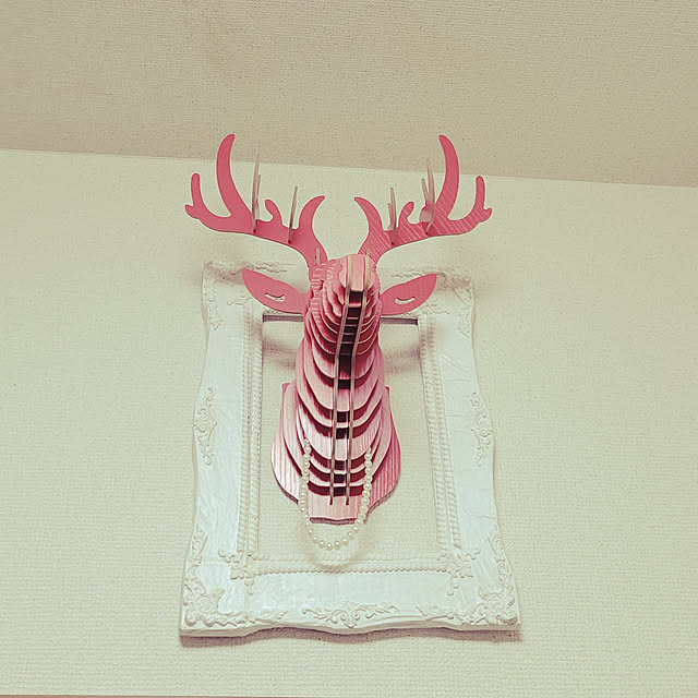 ANTENNAさんの実例写真