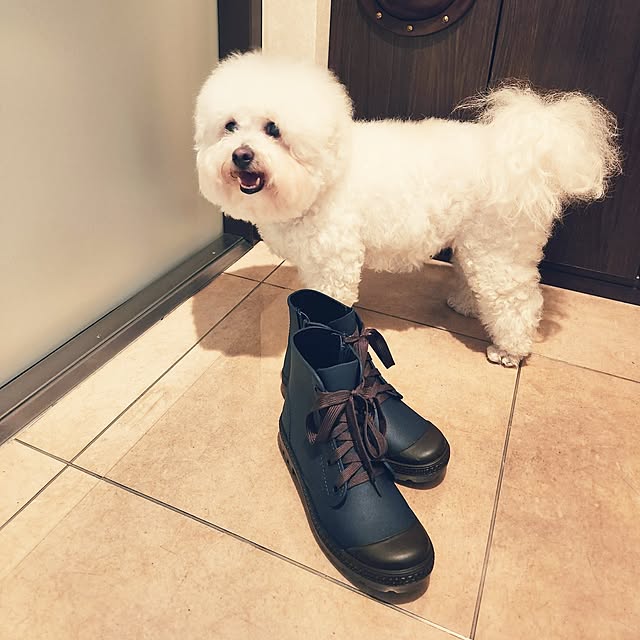 takoさんの実例写真
