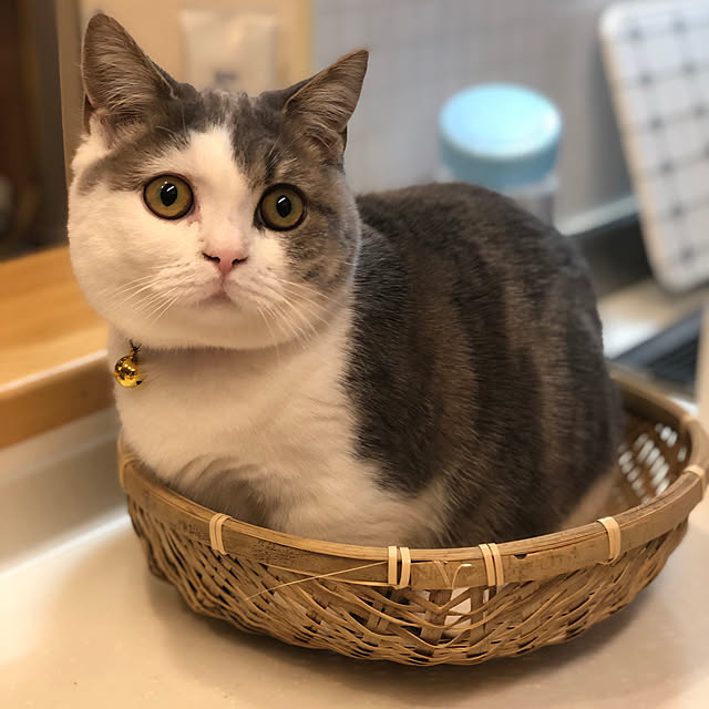 Satokoさんの実例写真
