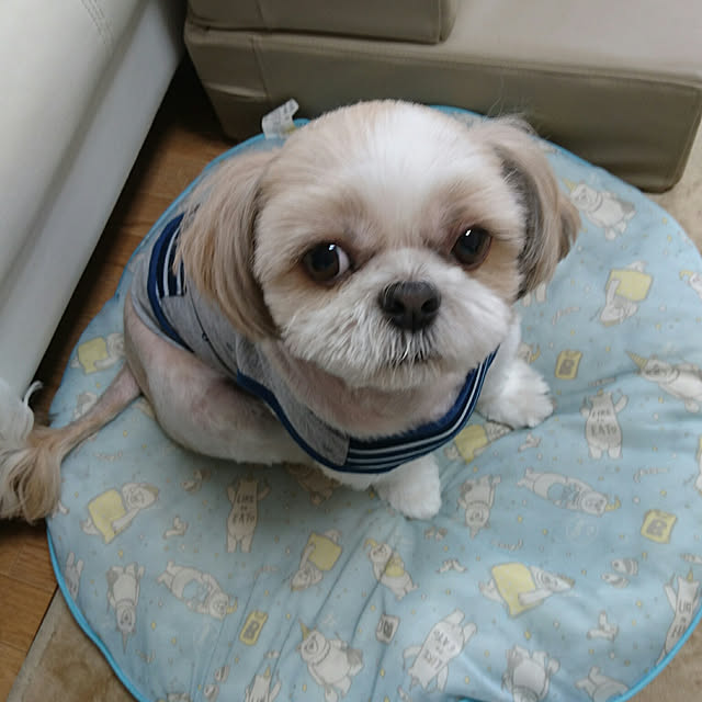 ronさんの実例写真