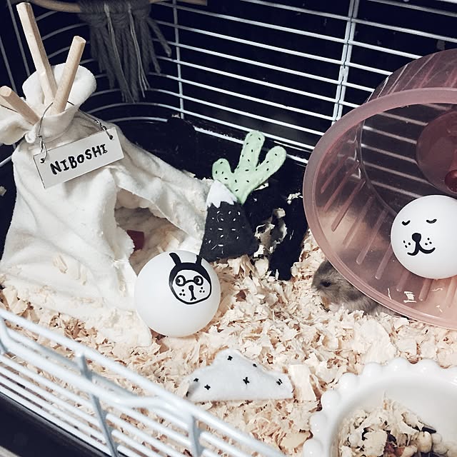 chiiiii0808さんの実例写真