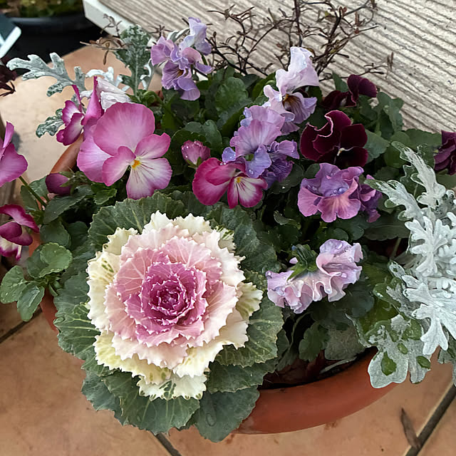 leepo5さんの実例写真