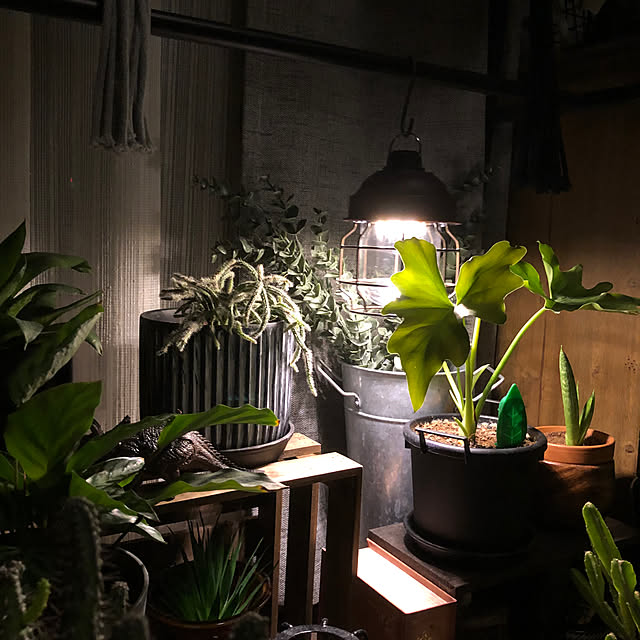 rintarotantan7さんの部屋