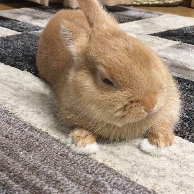 Nobukixさんの実例写真